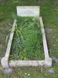 image of grave number 411658